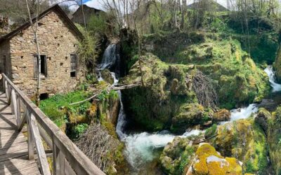 Cómo elegir internet barato en El Bierzo entre las diferentes opciones